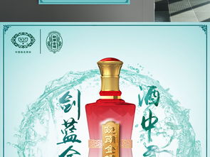 剑南春白酒中国风海报